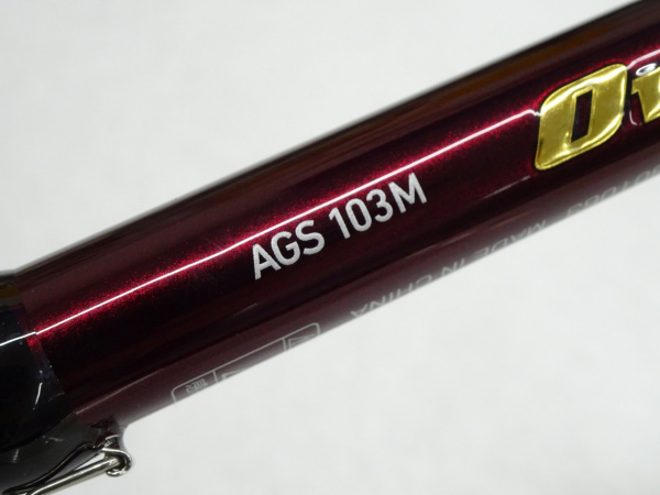 21オーバーゼアAGS 103M